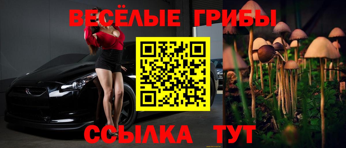Псилоцибиновые грибы Psilocybine cubensis  Галлюциногенные грибы Cubensis  Вход с VPN  Феодосия 